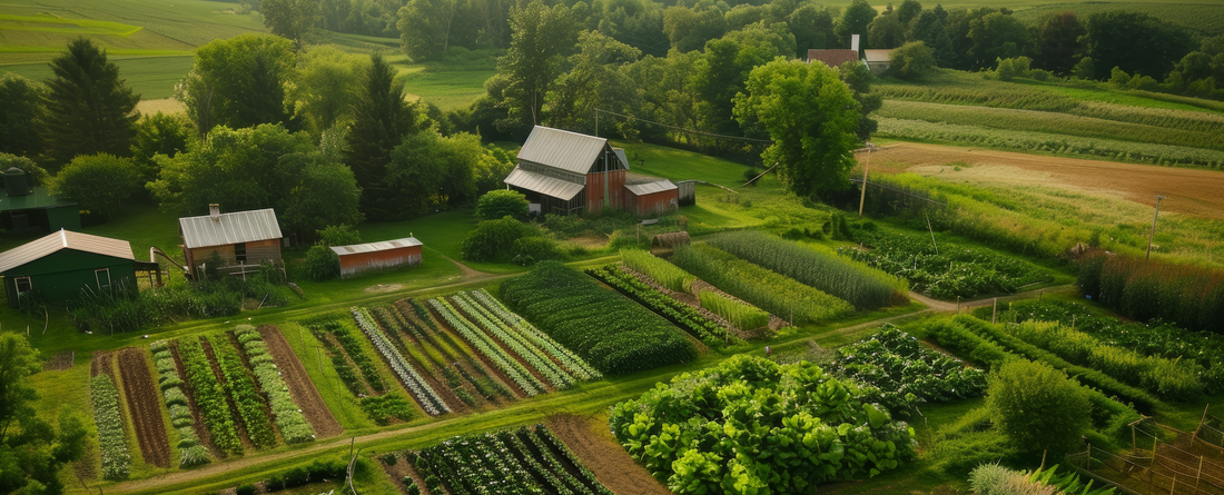 Screenshot_2025-01-15_at_4.22.08_PM