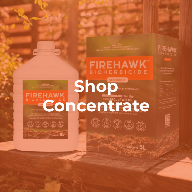 Concentrate Products