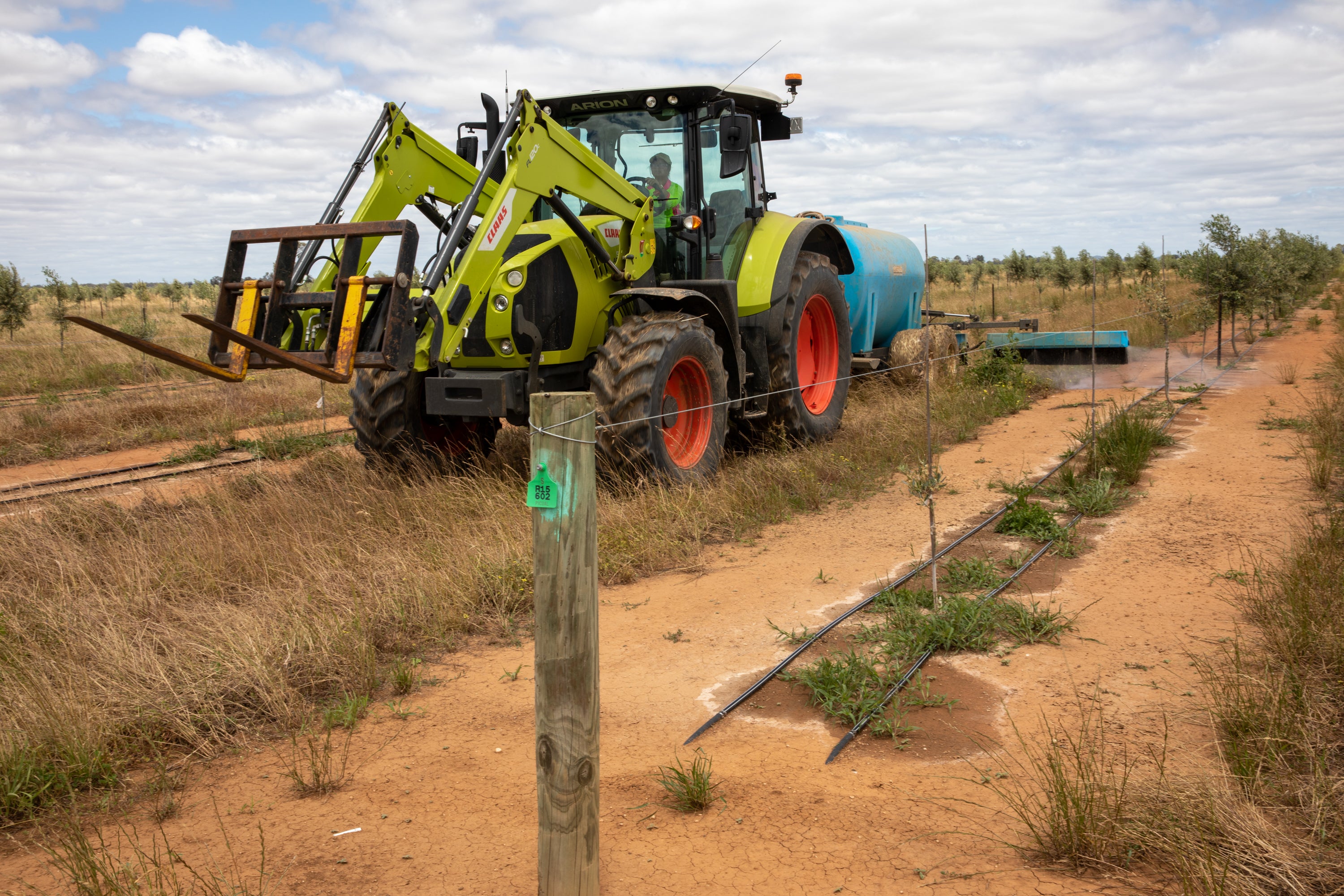 Fast-Acting Weed Control for Horticulture