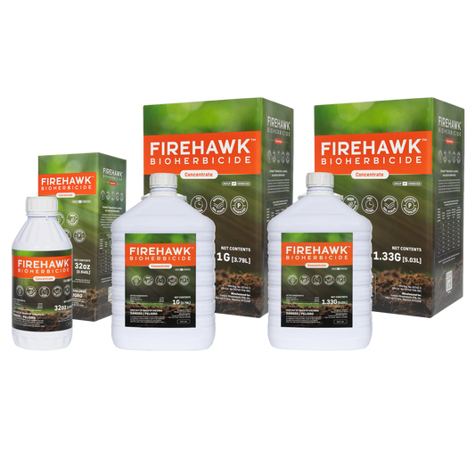Starter_Pack_Pallet_FireHawk_Concentrate_US